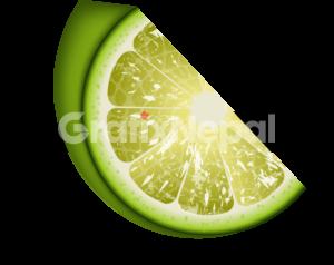 sliced lime png