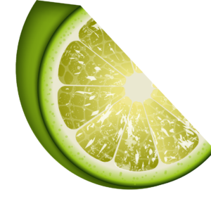 sliced lime png